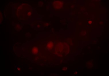 renkli kırmızı bokeh arka plan