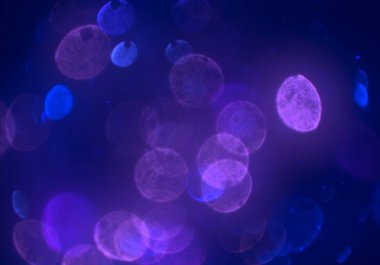 mavi ve beyaz arkaplan