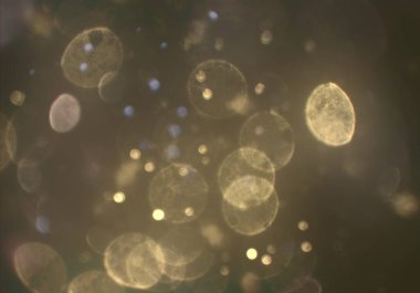 bokeh ile sanat soyut arka plan 