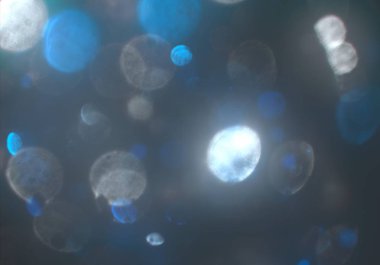 mavi ve beyaz arkaplan