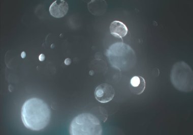 soyut bulanık bokeh arka plan, kopyalama alanı  