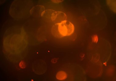 soyut bulanık bokeh arka plan, kopyalama alanı 