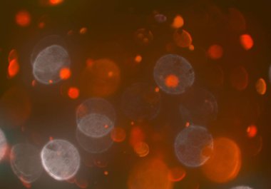 bokeh ve metin için alan ile soyut duvar kağıdı