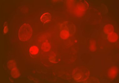 bokeh ile sanat soyut arka plan 