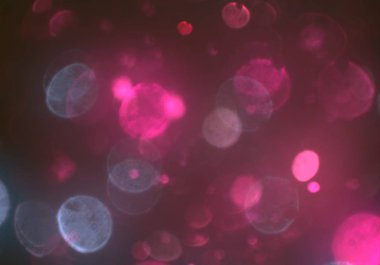 bokeh ile sanat soyut arka plan 