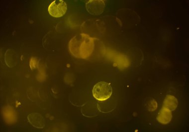 bokeh ile sanat soyut arka plan 