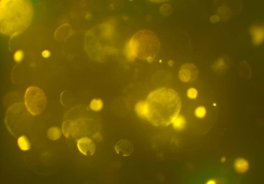 parlak bokeh ışıkları ile dijital duvar kağıdı 