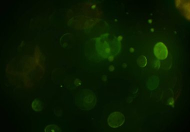 bokeh abstact arka plan ile galaksi