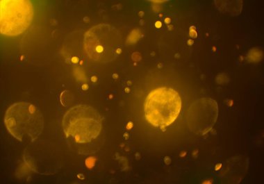 bokeh ile sanat soyut arka plan 