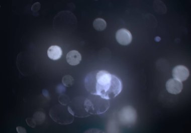 bokeh ile sanat soyut arka plan 