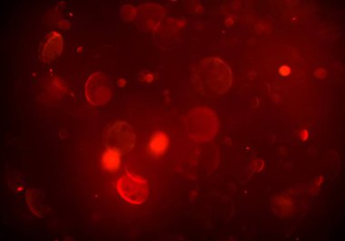 bokeh ile sanat soyut arka plan 