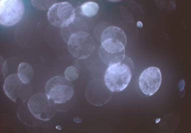 bokeh abstact arka plan ile galaksi