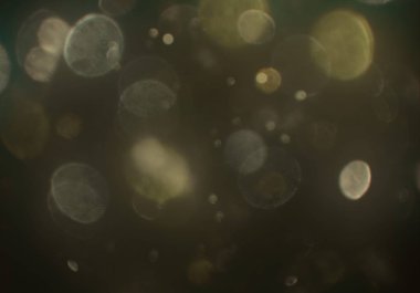 Bokeh ışıkları ile soyut arkaplan