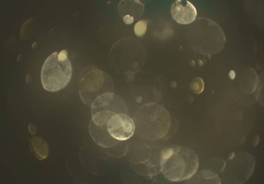 Tasarımınız için parlak bokeh arka plan