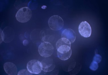 bokeh ile sanat soyut arka plan 