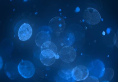 mavi ve beyaz arkaplan