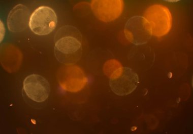 metin veya görüntü için alan ile bokeh arka plan