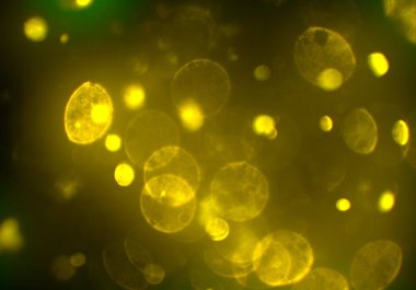 bokeh ile sanat soyut arka plan 