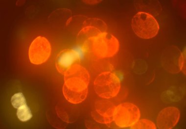 bokeh ile sanat soyut arka plan 