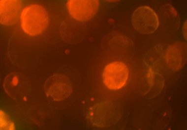 Işıklı soyut arkaplan