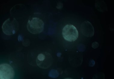 metin veya görüntü için alan ile bokeh arka plan