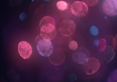 bokeh ile parlak soyut arka plan