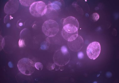 soyut bulanık bokeh arka plan, kopyalama alanı  