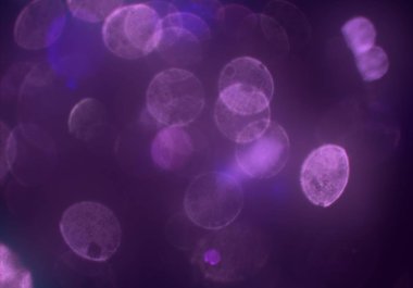 Kalpli soyut arkaplan