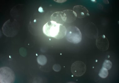 parlayan parlak bokeh toz