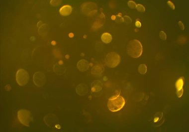 parlayan parlak bokeh toz