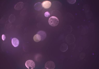 parlayan parlak bokeh toz