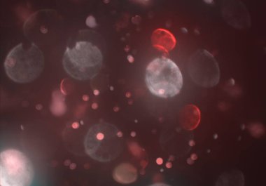 parlayan parlak bokeh toz