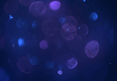 parlayan parlak bokeh toz