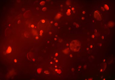 bokeh ışıkları ile soyut duvar kağıdı