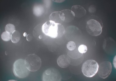 metin veya görüntü için alan ile bokeh arka plan