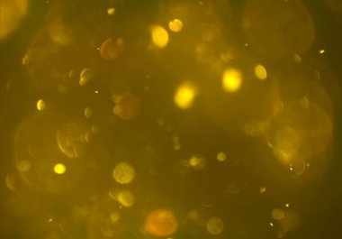 parlayan parlak bokeh toz