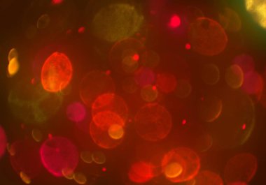 parlayan parlak bokeh toz