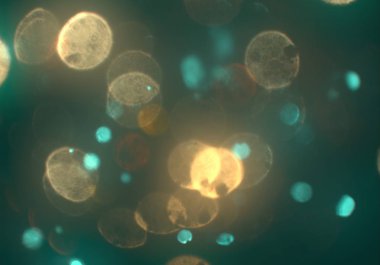 parlayan parlak bokeh toz