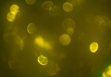 parlayan parlak bokeh toz