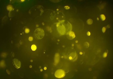 parlayan parlak bokeh toz