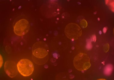 parlayan parlak bokeh toz