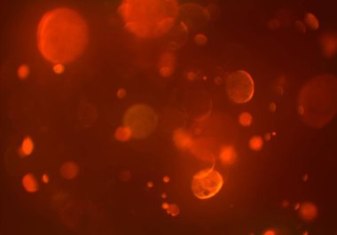 bokeh ve metin için alan ile soyut duvar kağıdı