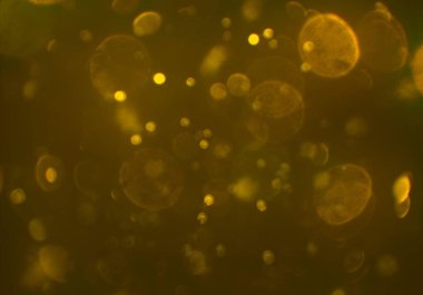 bokeh ile sanat soyut arka plan 