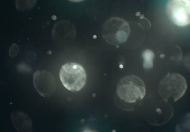 bokeh ile sanat soyut arka plan 