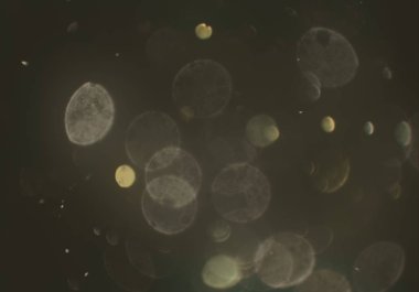 bokeh ile sanat soyut arka plan 