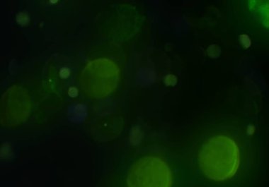 Bokeh ile soyut arkaplan