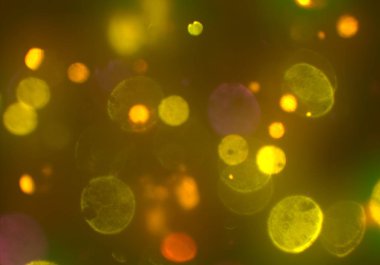 bokeh ile sanat soyut arka plan 