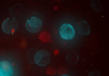 mavi ve beyaz arkaplan