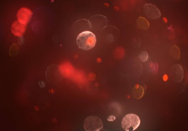 soyut bulanık bokeh arka plan, kopyalama alanı  