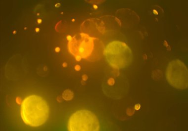 parlayan parlak bokeh toz parıltıları